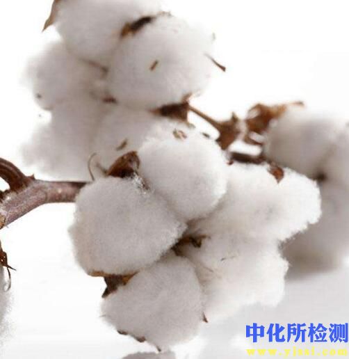 棉花檢測