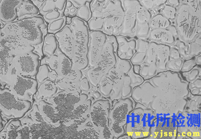 奧氏體測(cè)試