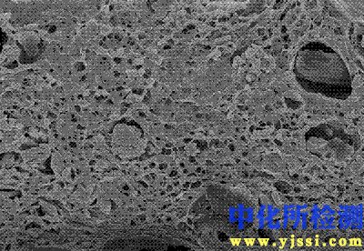生物質(zhì)纖維測試