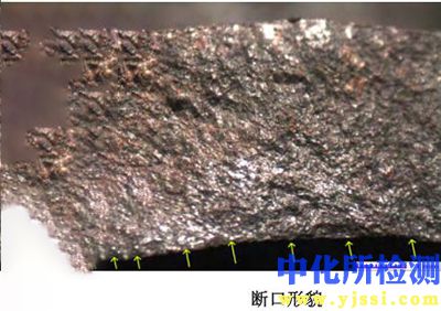 斷口形貌分析