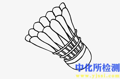 羽毛球測試