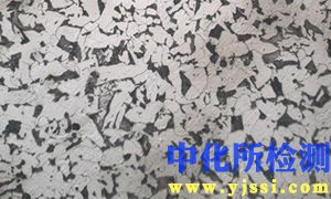 白口鐵分析