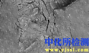 煤素質組分顯微鏡檢驗