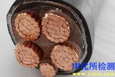 銅芯檢測