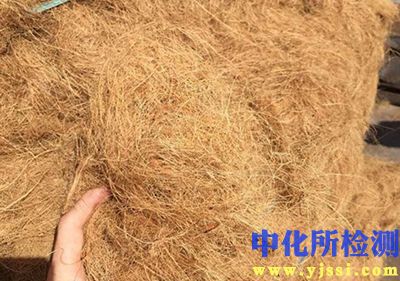 椰棕絲檢測 