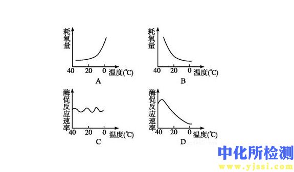 耗氧量試驗(yàn)