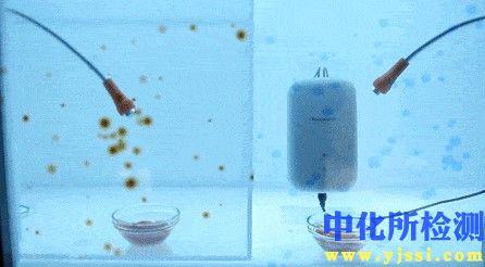 除臭試驗