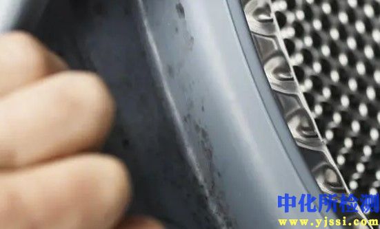 耐真菌生長測試